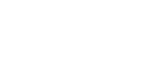 Cloudwisers logga