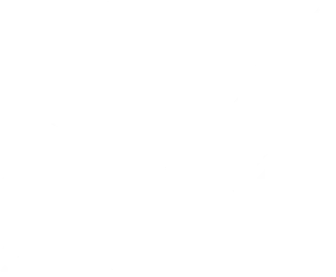 SkeKrafts logga